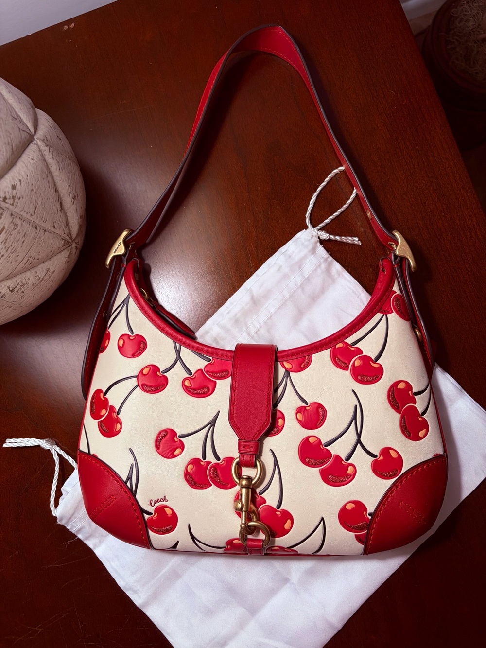 Coach Cherry Print Hampton Hobo Bag - Picture 2 of 14